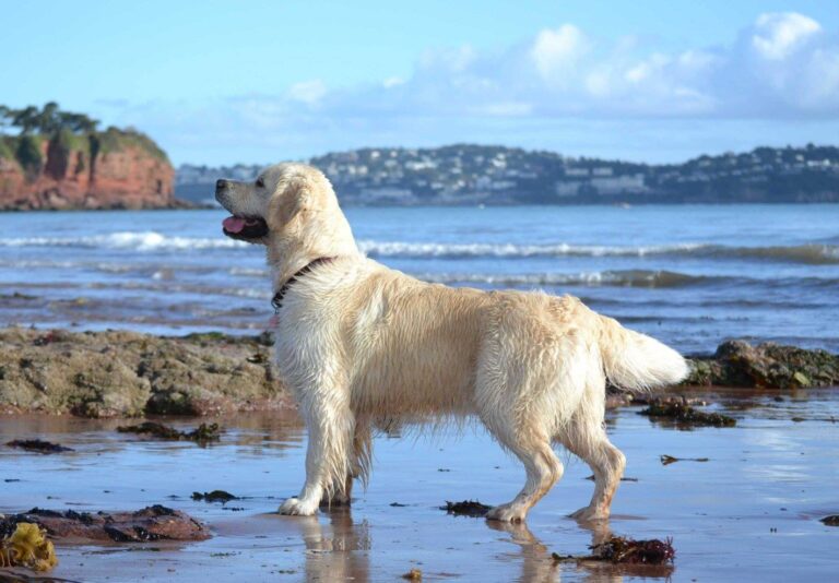 14711515 1282808025096687 8588554233803909005 o 768x534