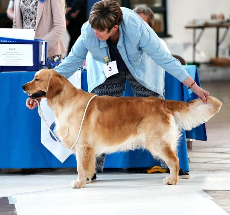 57360377 2455482084495936 5920345979239792640 n 768x718