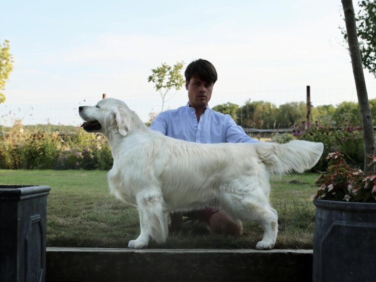 Xanthos Bullet Proof 2022 768x576