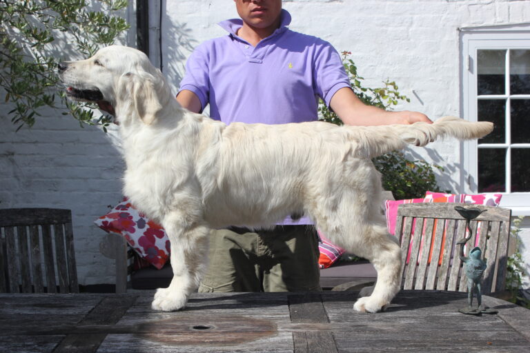 Xanthos Bullet Proof 768x512