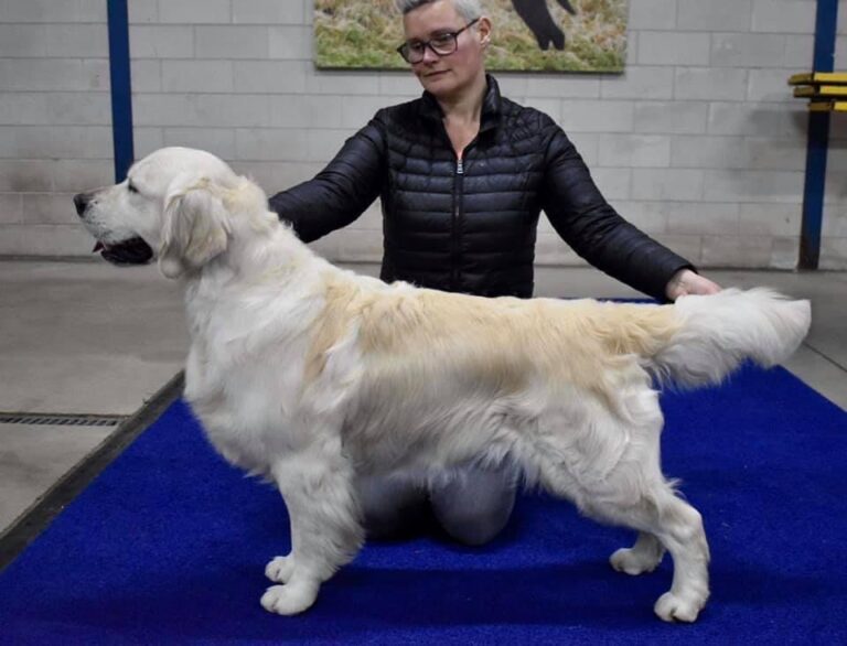 Xanthos Bullet Proof1 768x586