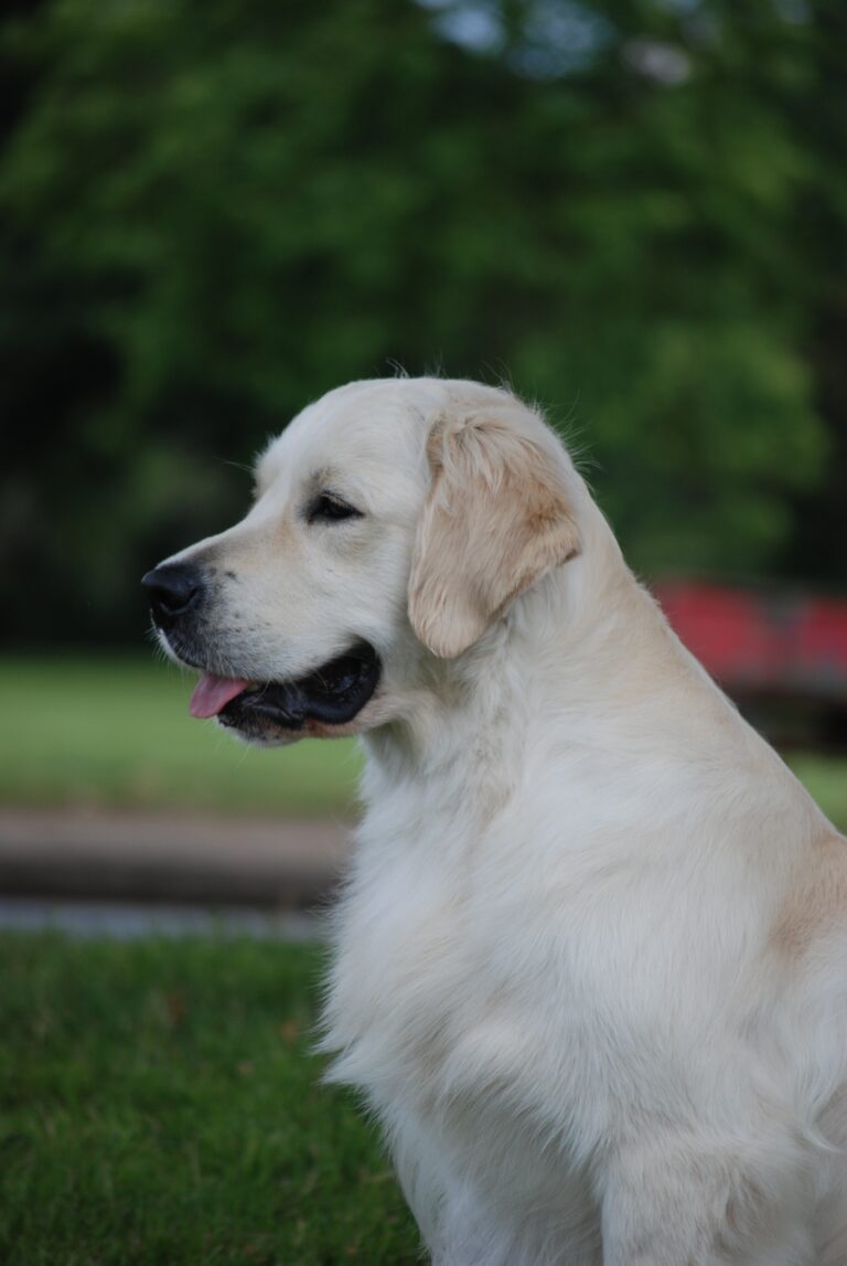 side headshot kevlar 768x1147