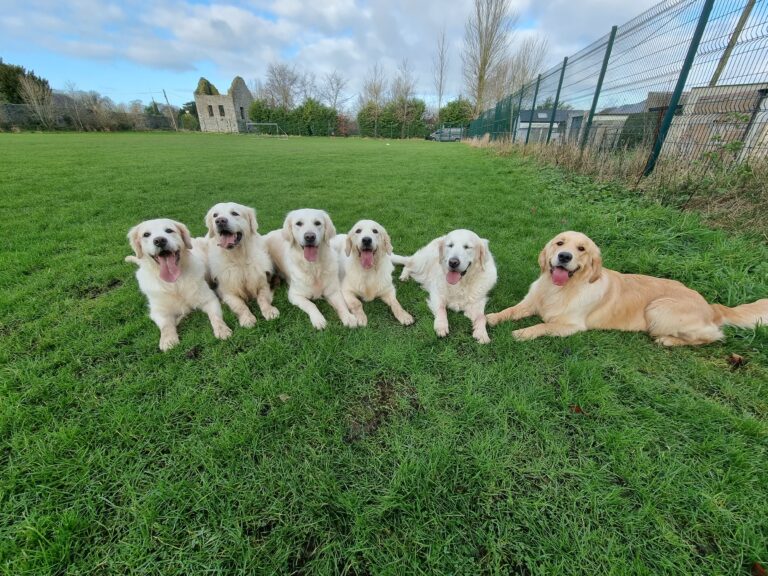 20220119 122116 768x576