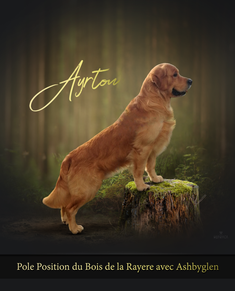 276118031 274126598220952 4011999266785279427 n 768x951