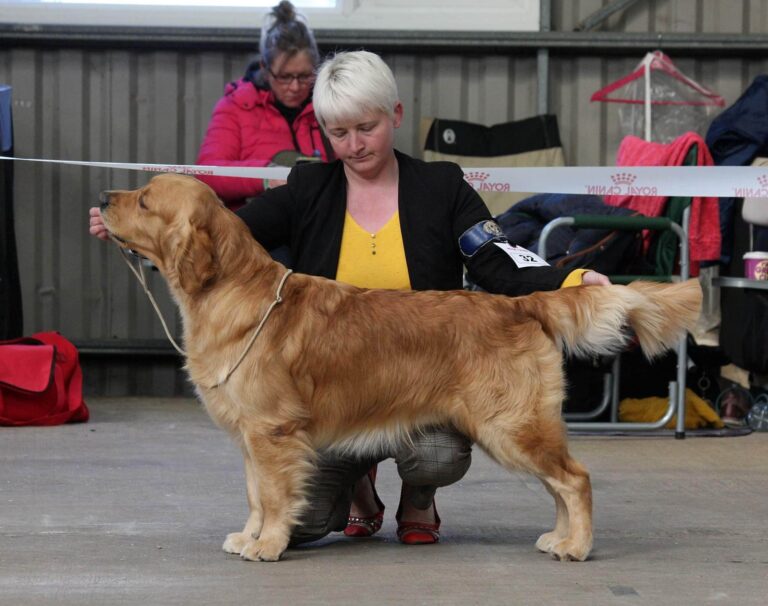 314744544 2009562619243337 8488329139978652816 n 768x606