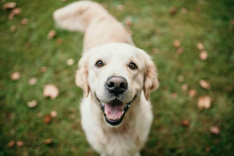 315964477 864581281223845 1490021846102122840 n 768x512