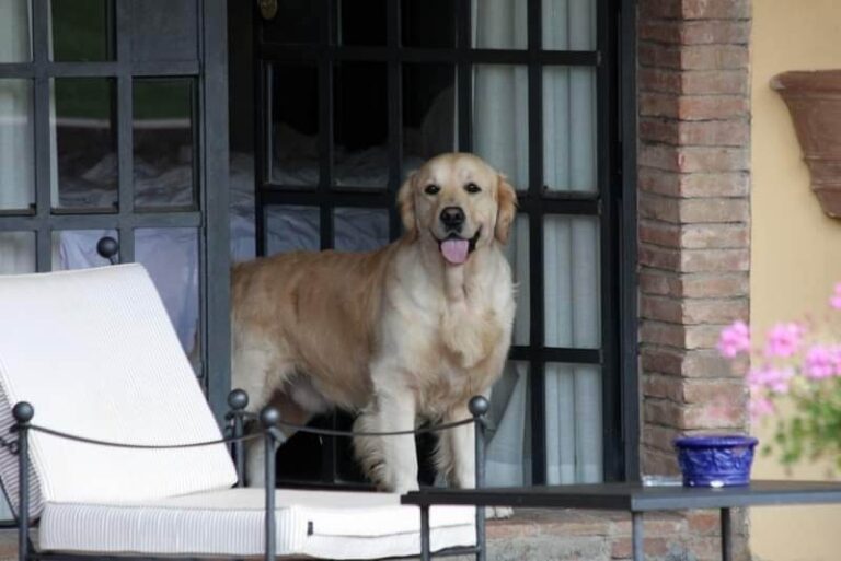 319380193 2458580650959315 1037312096864224543 n 768x513