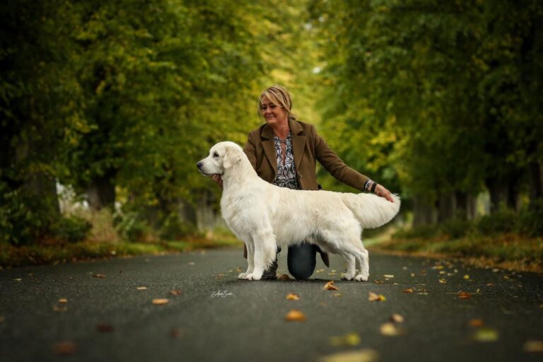 321305771 1339077843569848 3936325916544253856 n 768x512