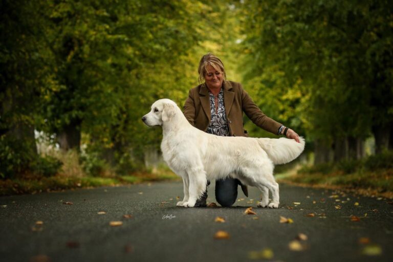 321964622 565321325042129 3034529821884745028 n 768x512