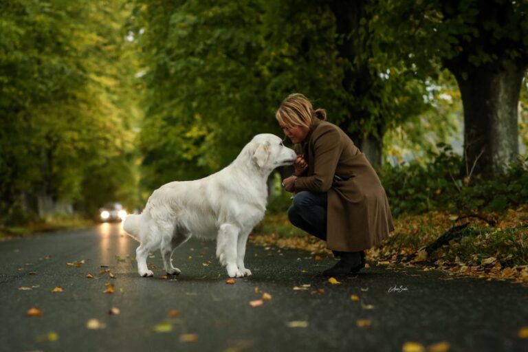 322719462 445927874266620 2985417537175443709 n 768x512