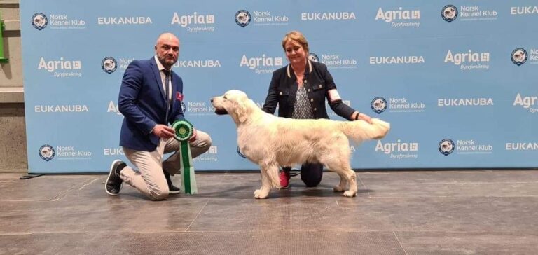 323100737 633724081776024 9212760844942779392 n 768x364