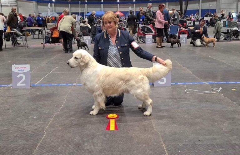 323169840 483778170503901 443699885759036253 n 768x497