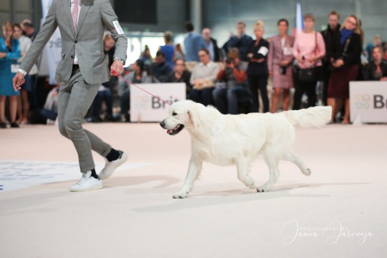 3C3BEA8F 53FA 4B1A 923A 990F3D2F6EFC 768x512