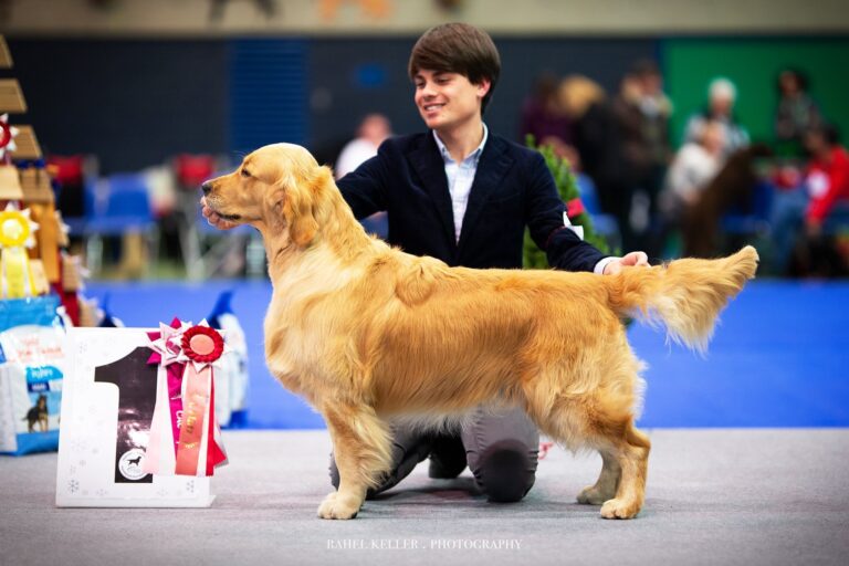 853A0BA0 384B 4FAA A52A C2B5F4D74ACC 768x512