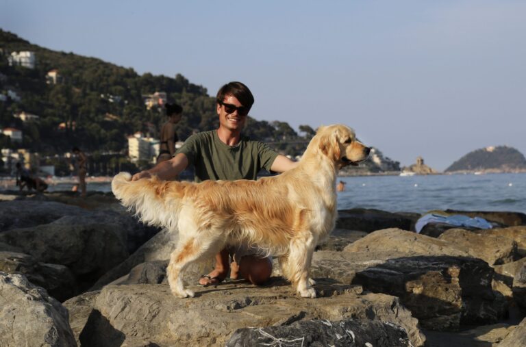 96B3EAFE 7A1D 46CC 90C6 48B5EBE0E7AB 1 201 a scaled 1 768x507