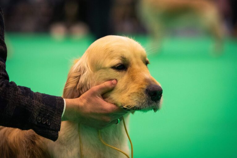 ED00156E FE31 4DDB 9D3C 993C9E70C9B2 scaled 1 768x512