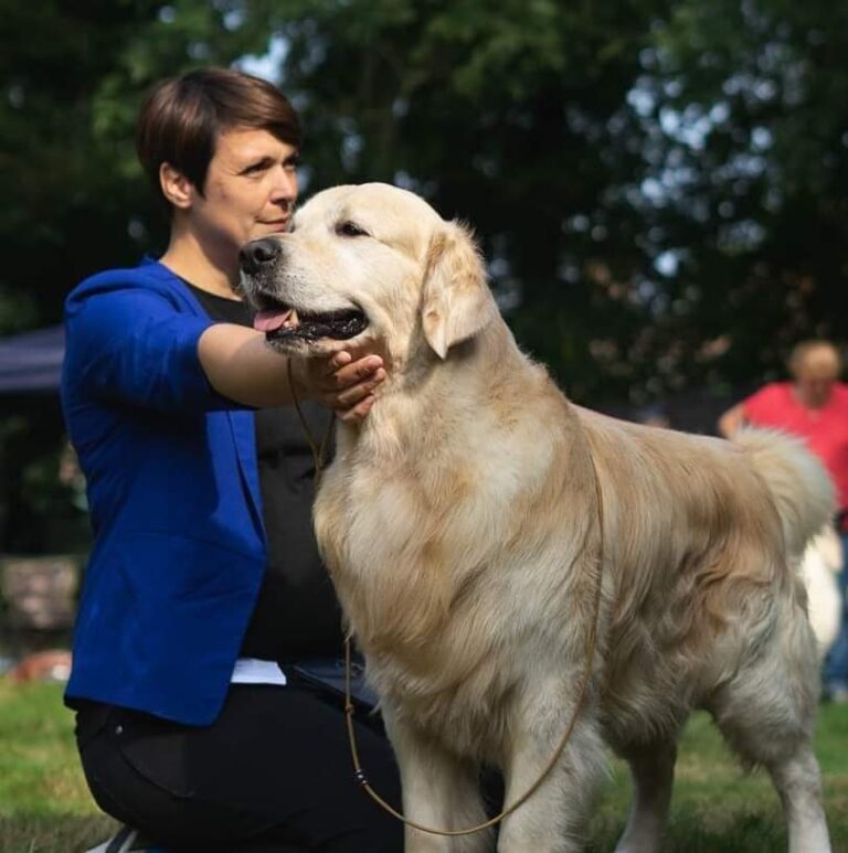 FB IMG 1672123792428 1 768x773