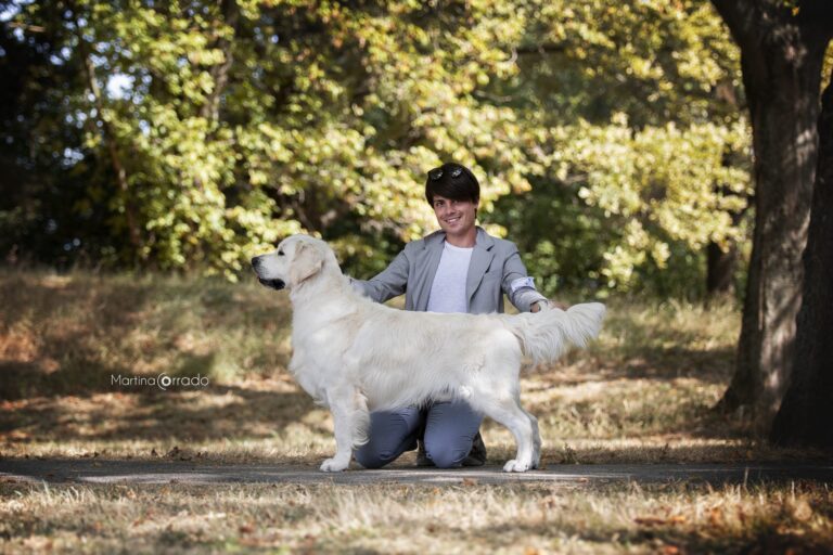 IMG 9939 scaled 1 768x512