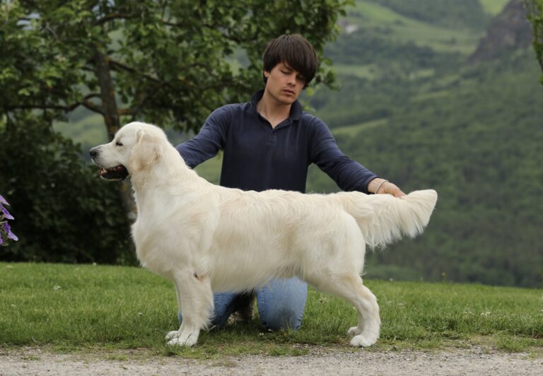 Senza nome.001 768x532