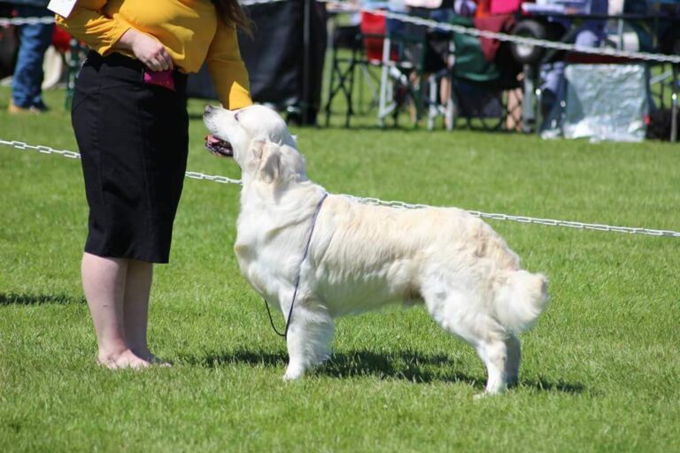 received 10214682323081620 768x512