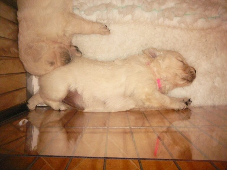 12188099 1056318031059226 2297756413983769030 o 768x576