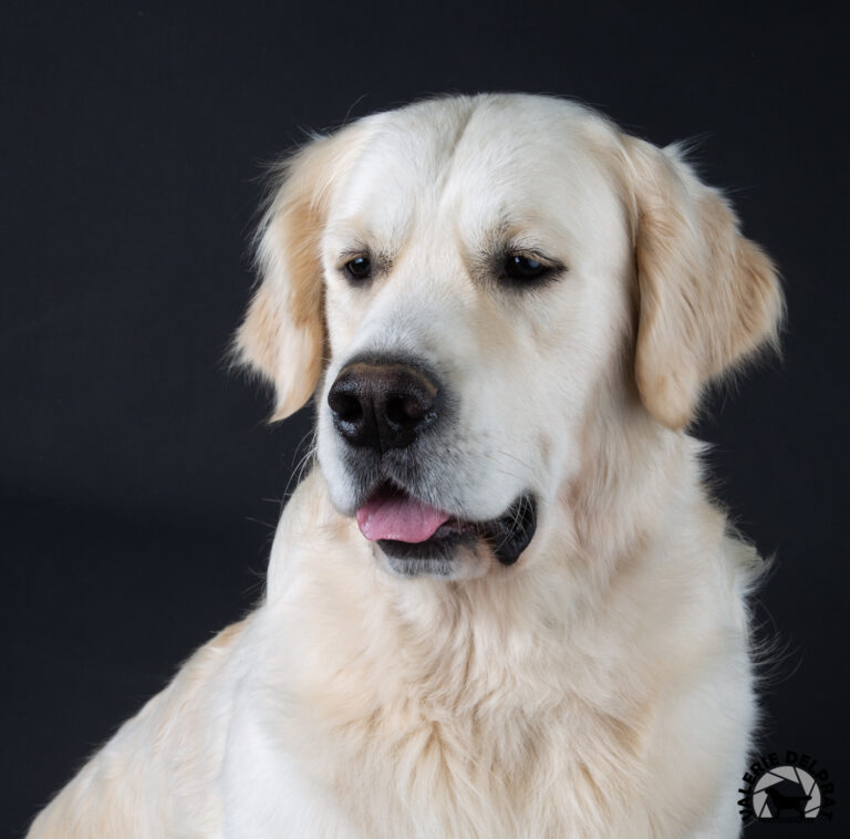 255103167 922227635374362 6206584986052943063 n 768x758