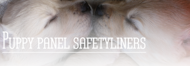 277781949 384485437015995 7589463582244927073 n 768x269