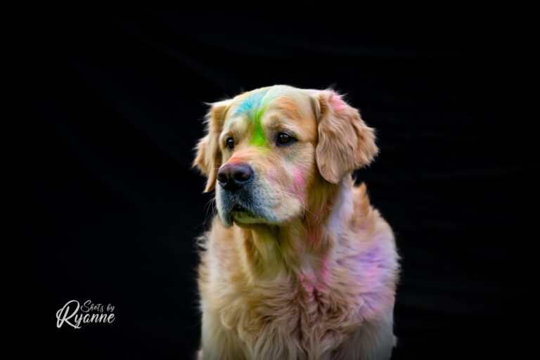 295845712 1031513464218988 2751536865097548995 n 768x512