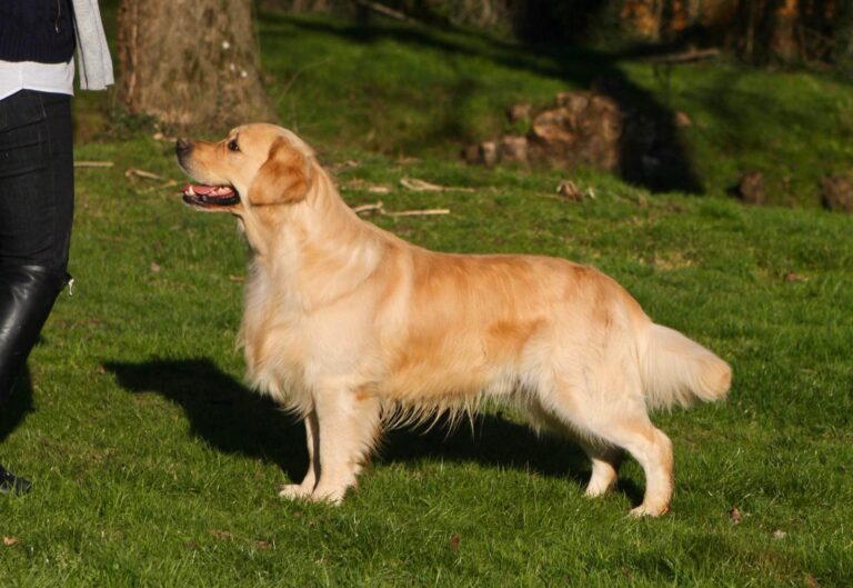 326376912 746343879824597 384925652612465576 n 1 768x529