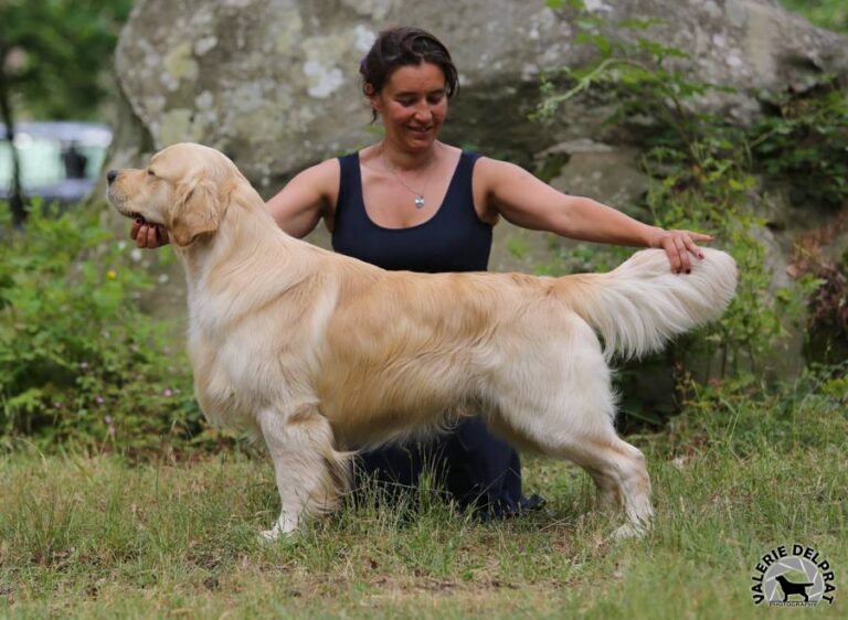 326538378 840614370349870 4019882131846132793 n 1 768x562