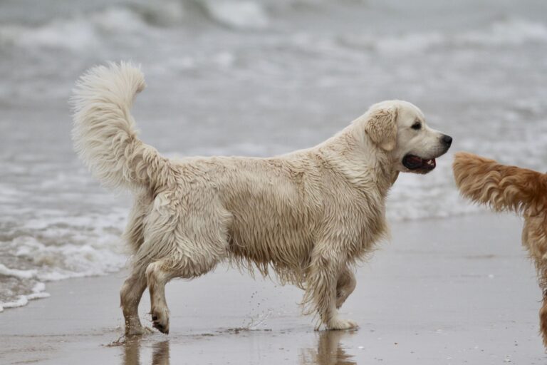 326566437 900342691306869 640189202359825756 n 768x512