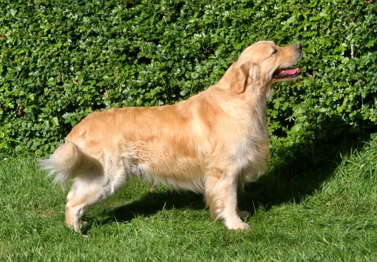 326969748 575434167462978 6226299745031560539 n 1 768x535