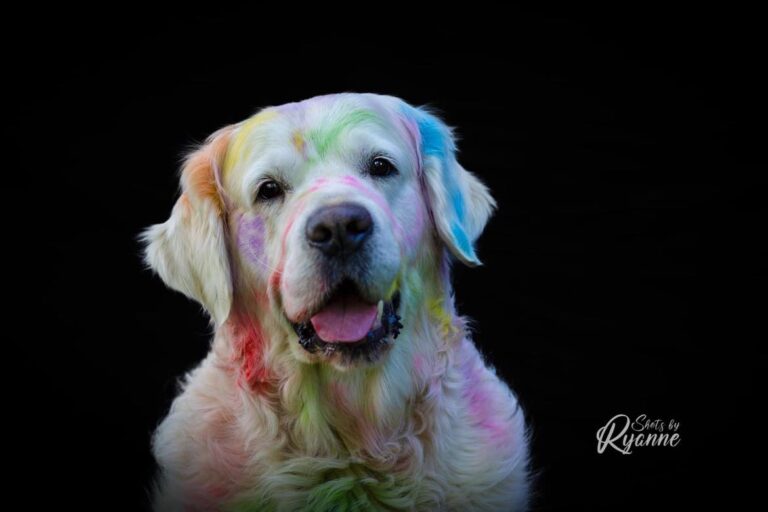 327011488 1119331088750187 3067131290401727164 n 768x512