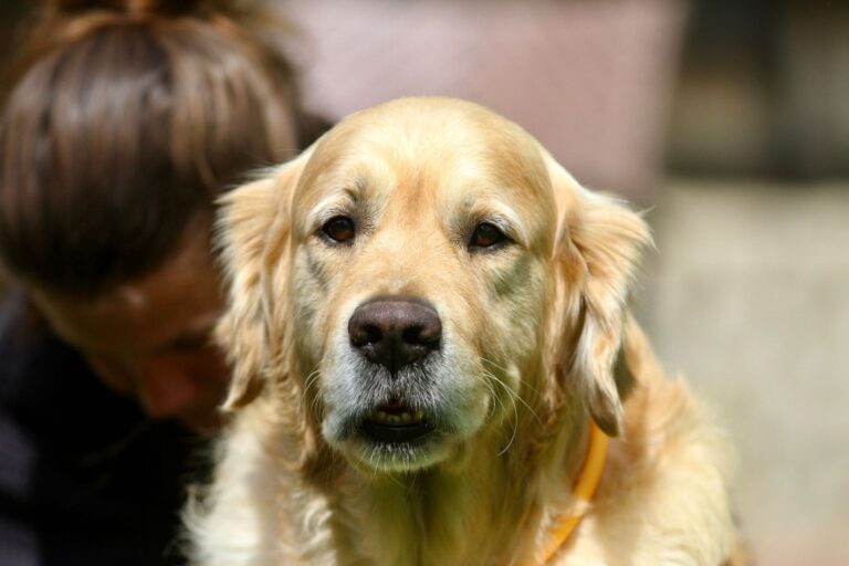 327049515 582453959967812 5041093558315386869 n 1 768x512