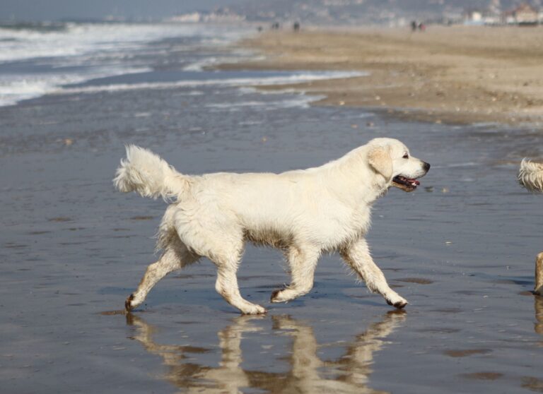 327101770 1571961623314321 3324006372819170523 n 768x558