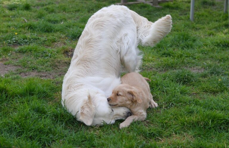 327124512 1496345284108629 3671417913962035181 n 768x497