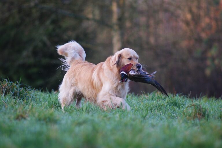 327152699 1253482372185325 1819312380014123140 n 1 768x514