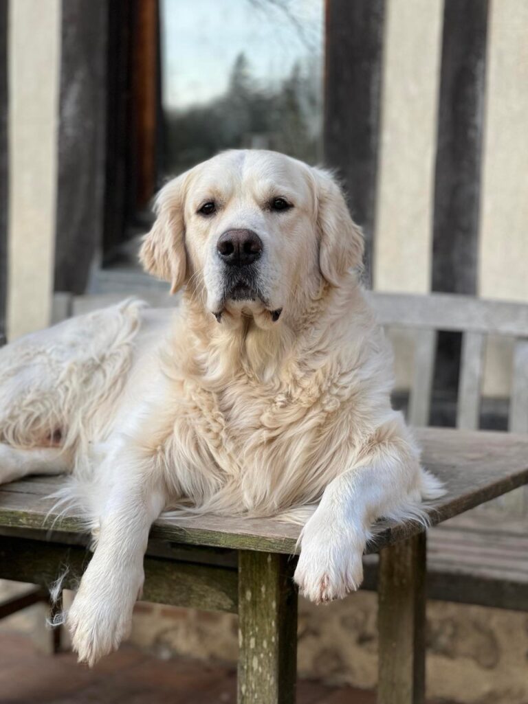 327247011 470527925105903 388316492531853049 n 768x1025