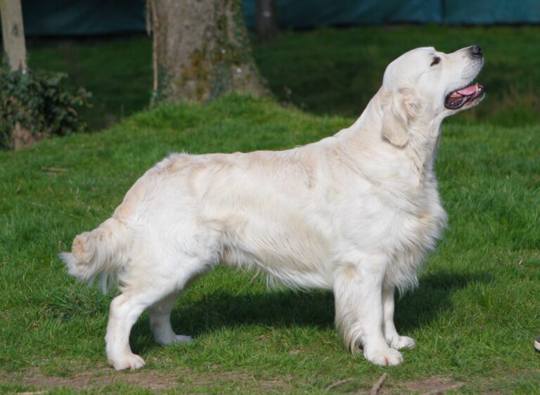 327301721 920749505963153 8634511788827959695 n 768x562