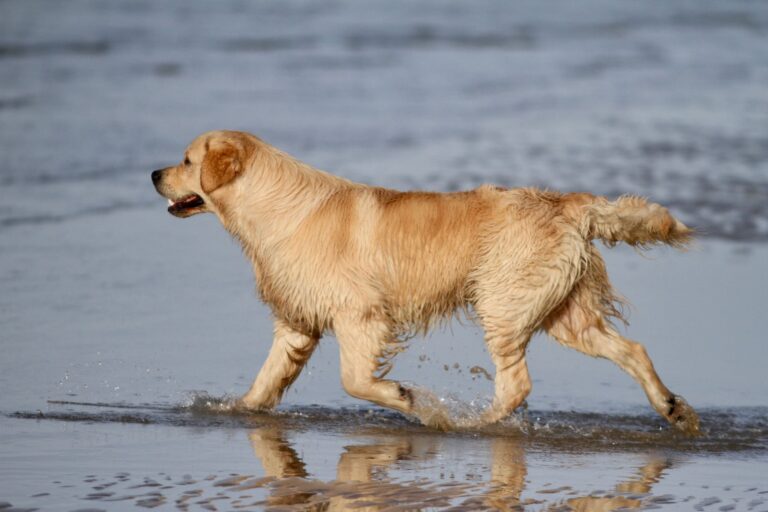 327309603 631972212262937 1963014880840006134 n 768x512