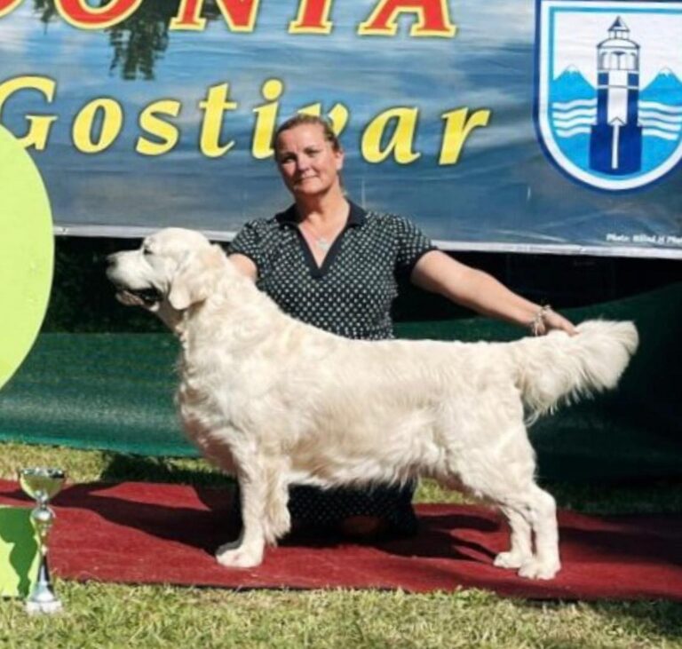 327571186 1232752080928399 6713222806515555745 n 768x731