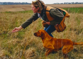 Clare Baker - Arcklebear Gundogs