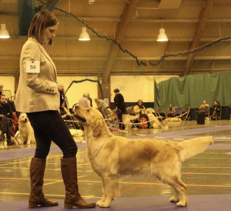 309945380 10158560293565810 7317430632894071068 n 768x700