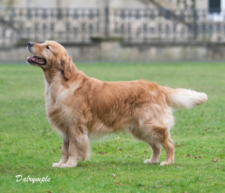 Finn 2 edited 1 768x657