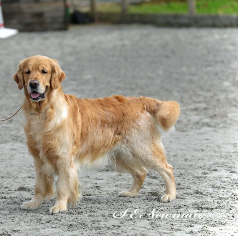 366775330 2918867894912077 8146303464337313852 n 768x762