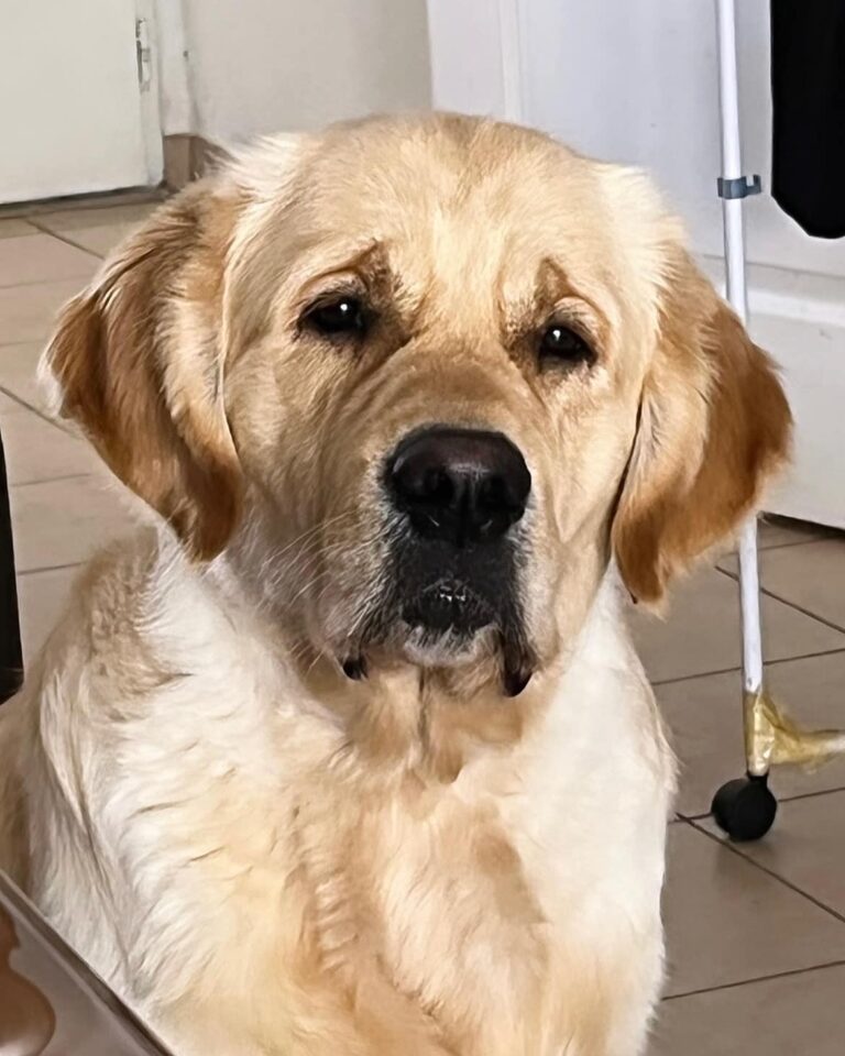 364393544 6589511214419867 7119282629118188912 n 1 768x960