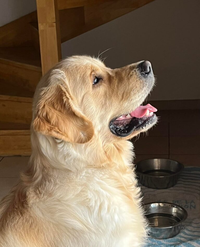 364547389 214939291508391 6432659969330484848 n 1 768x949