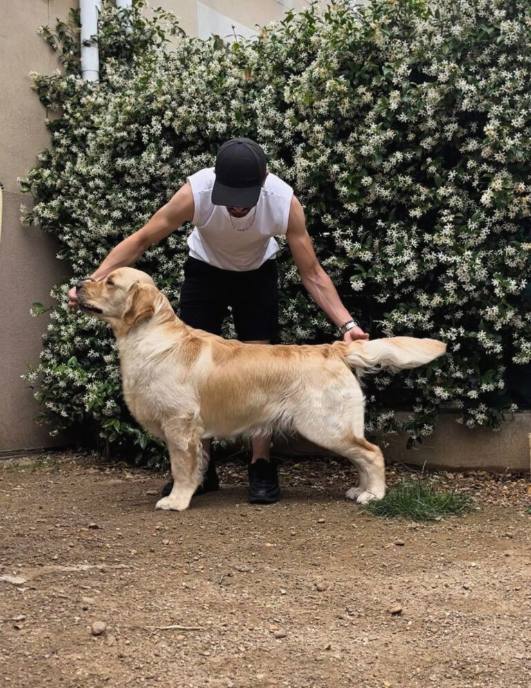 384539259 626115019721357 3226278179813042501 n 1 768x995