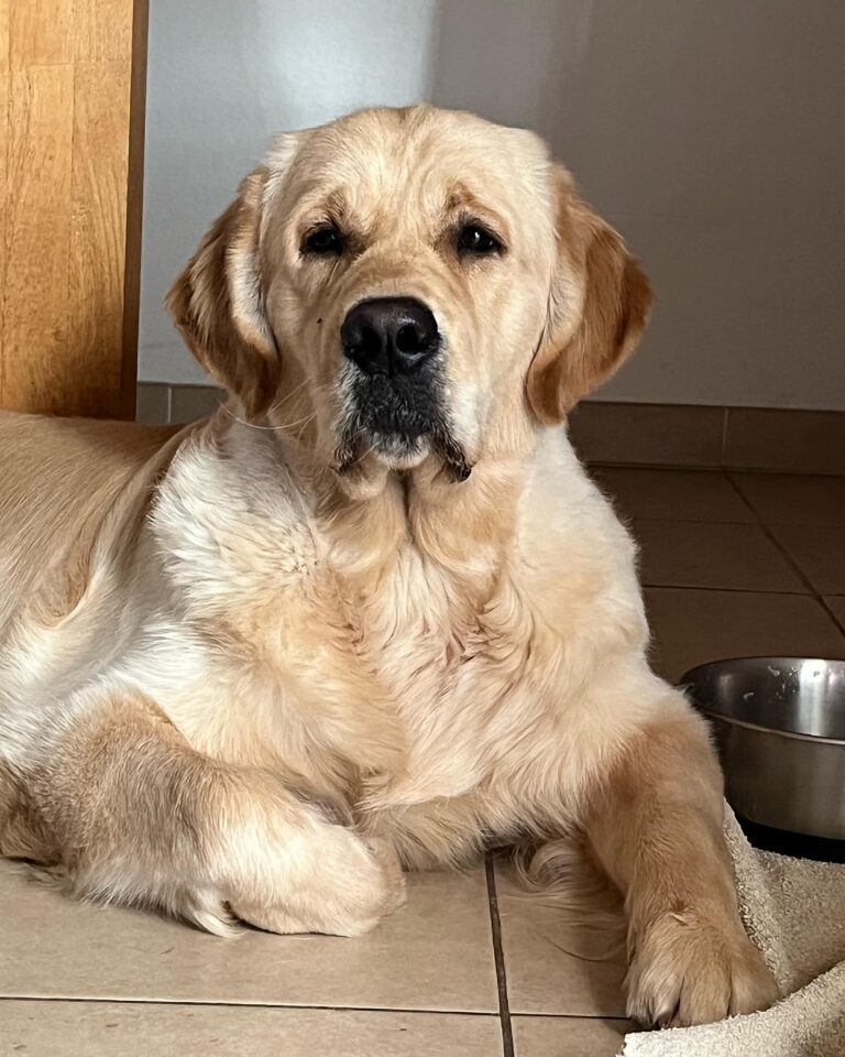 384539523 257555846754959 7721536999937228294 n 1 768x960