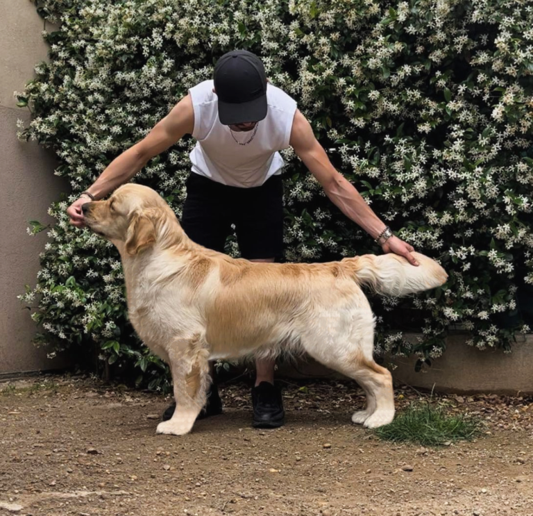 386473077 682097043858737 2329986431965233775 n 1 768x743